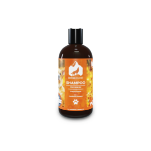 Autumn Breeze Shampoo 250ml 2 in 1 conditioning wash